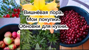 23-07-2025Вишнёвая пора.Мои покупки.Обновки для кухни.