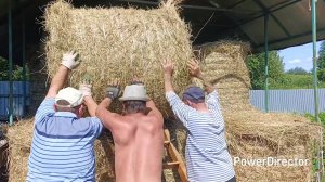Закупка сена, идёт полным ходом😉