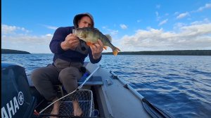 Одиночная рыбалка на южной границе тайги. Окуни по килограмму и лещи не резину. Уха хороша...