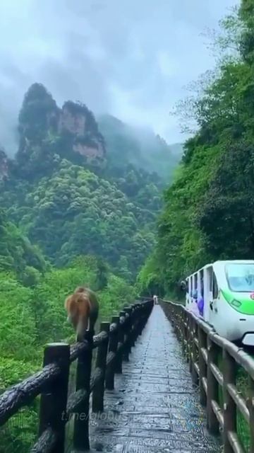 Китай. "Парк Аватара" в Чжанцзяцзе. смотреть онлайн