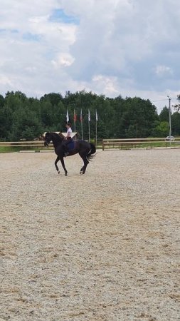 Оксана Новикова и Дольче Вита, выездные старты, онлайн тренировка, переход в шаг.