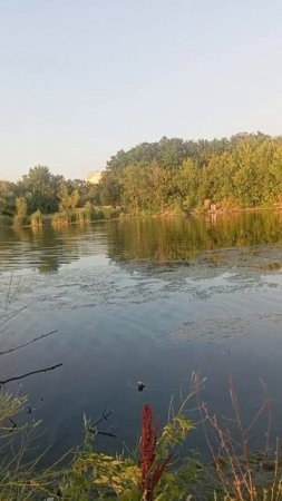 Обстановка в Донецке: июль,жара,ставок