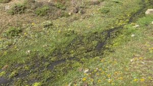 В горах 1.  ПАМИРА  .