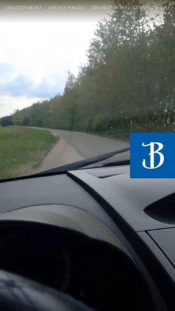 Дороги в Орловской области заставляют водителей постоянно маневрировать