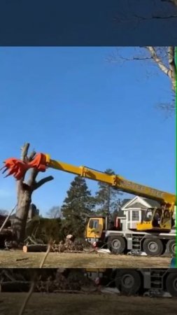 Техника по обрезке деревьев.