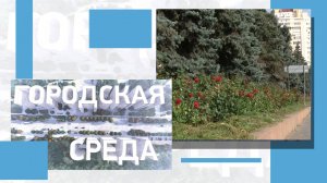 Благоустройство сквера Симбирцева, реконструкция путепровода на Тулака