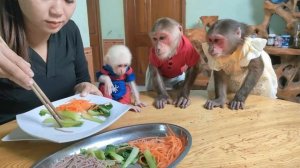 Обезьянки три МАЛЫШКИ едят Меньшая задирает  Лопают аж чмокают ВЕСЕЛОЕ ПРЕДСТАВЛЕНИЕ
