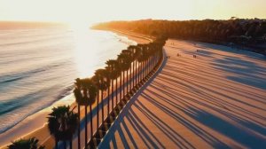 Beach Club Nights  Fast Pop & Festival Beats