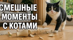 Смех до слёз: лучшие приколы №172