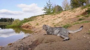 😱ДУХ АКА МАНТО В РЕАЛЬНОЙ ЖИЗНИ | 24 ЧАСА НА ЗАКОЛДОВАННОМ ОЗЕРЕ. С КОТАМИ В ПЛАТКЕ