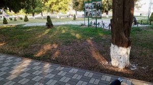 Обзор центра станицы
