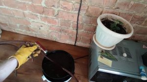 Классический кнут Индиана Джонс в современном исполнении. Часть 6