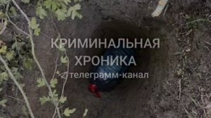 Крупную партию культивированной конопли обнаружили в Дербентском районе