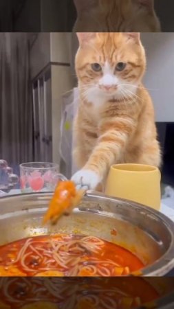 Так, креветочка, пойди ка сюда 🍤😋