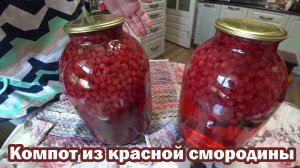 Компот из красной смородины заиграл ароматами