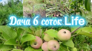 ПРИЕХАЛИ ПОЛИВАТЬСЯ НА ЗАБРОШЕННЫЙ УЧАСТОК 8 СОТОК//ЧТО НА УЧАСТКЕ???