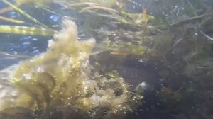 Родник "Теплый ключ" в Арти