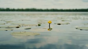 Озеро Уржинское