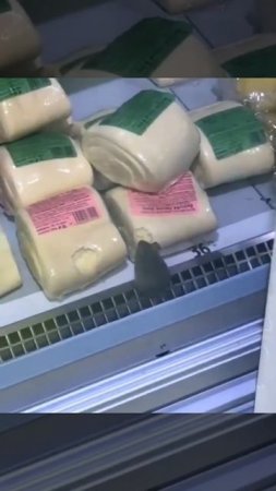 Проверка качества 😂