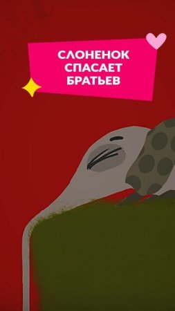 😍 Слонёнок - настоящий герой!