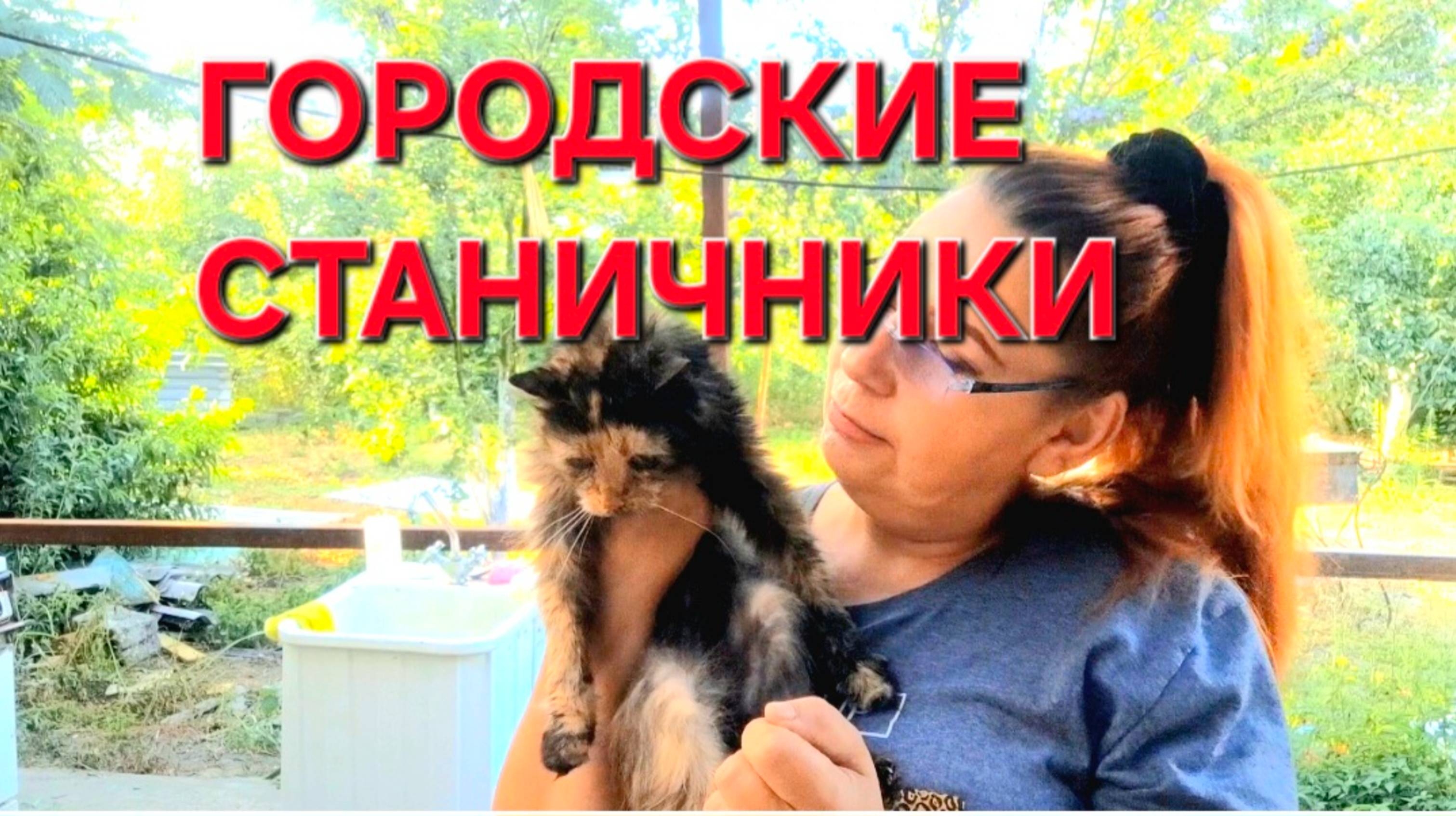 638 Вот так и живём в станице на Кубани. Городские Станичники