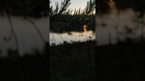 Архангельск Емецк Сийские озера 2025 .mp4