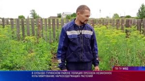 Байкалово Конопля