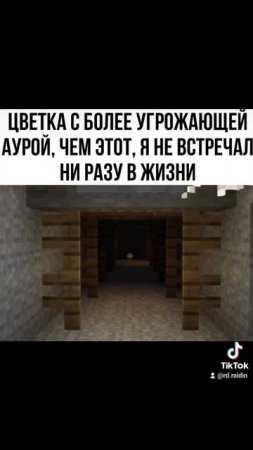 майнкрафт minecraft memes мем прикол