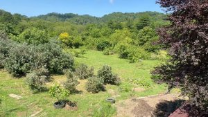 Земельный участок. 8 соток. Учдере