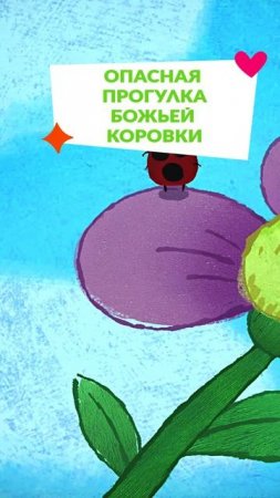 🐞 Божья коровка в опасности...