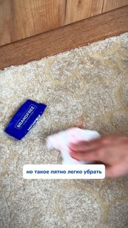 WB #234627478   OZ #1641932840  салфетки от пятен – просто супер находка