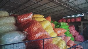 Шарики для сухого бассейна от производителя