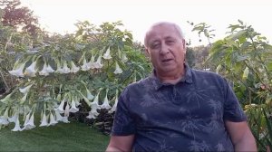 Бюрократия в действии. Новое строительство.