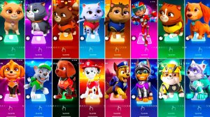Paw Patrol All Video Megamix SKYE VS ROCKY VS ZUMA VS MARSHALL VS CHASE VS RYDER VS RUBBLE