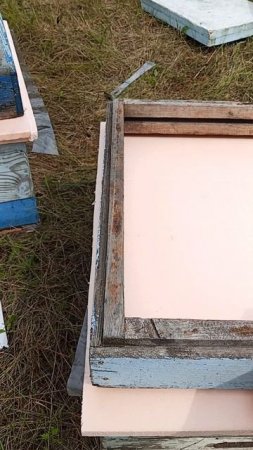 Что делать, если не хватило крышек для ульев