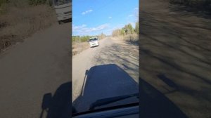 покатуха на гуране 2318.mp4