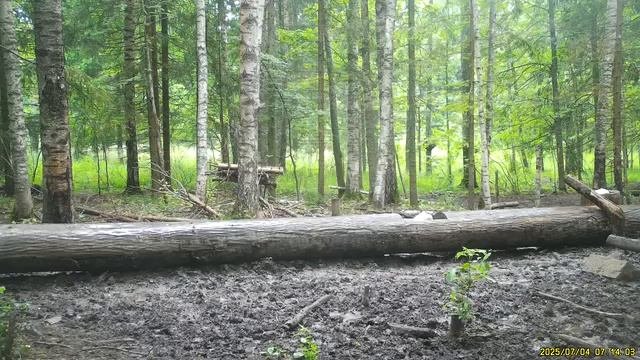 Video+by+Национальный+парк+"Смоленское+Поозерье"