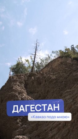 "Ловишь рыбу - айфон в подарок"