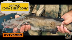ЗАПУСК СОМА В ВИП 23.07