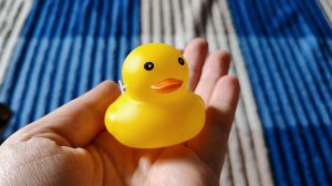 играем в резиновую уточку