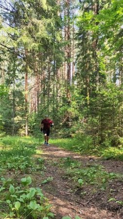 Имитация движений лыжника с палками при подъеме в гору.