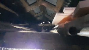 ч3. звуки в сарае