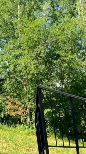 Дворовое г.Чебоксары || Чувашский драмтеатр, мать покровительница, лакреевский лес, парк амазония