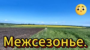 Приборный поиск. Межсезонье.