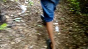 Ходим по проклятой лесопосадке часть1