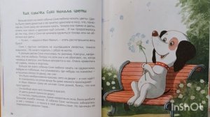 Серия рассказов..🐕 Умная собачка Соня 3