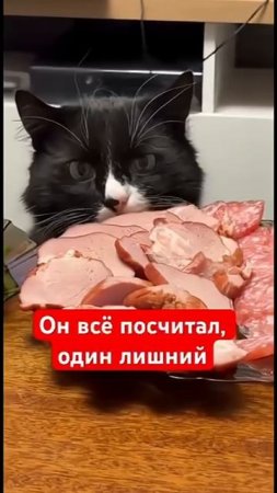VID_20250723_225731_155.mp4