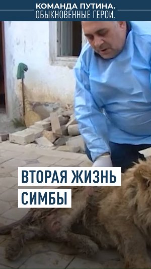 Спасение маленького львёнка Симбы