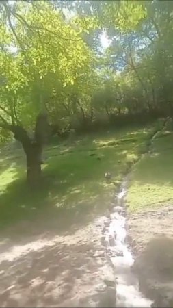 красота