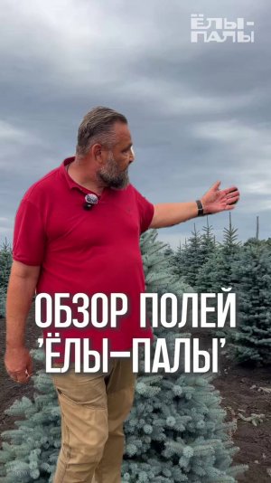 Экскурсия по полям с Владимиром Ковальчуком